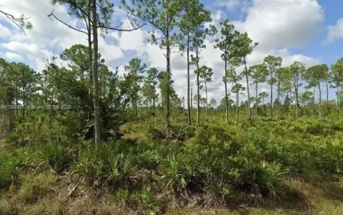 Punta Gorda Homesite Opportunity