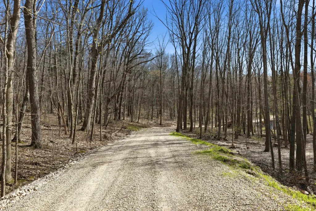 Picture 19