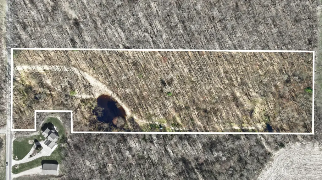 Picture 12