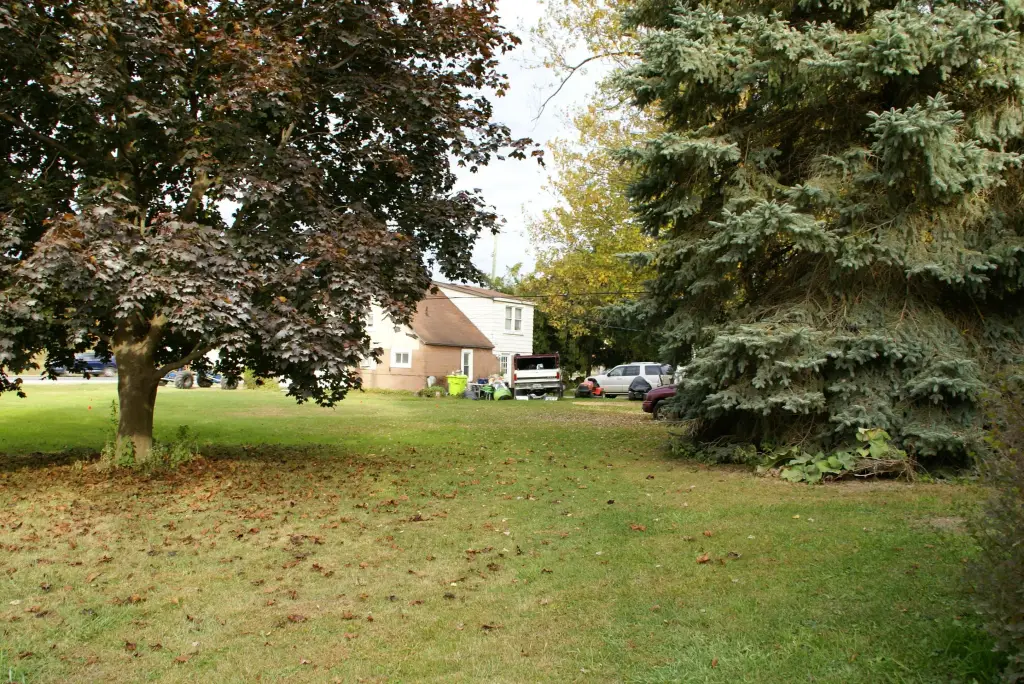 Picture 28
