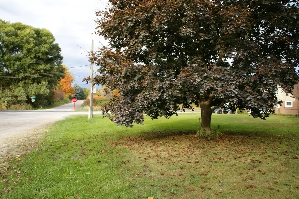 Picture 16