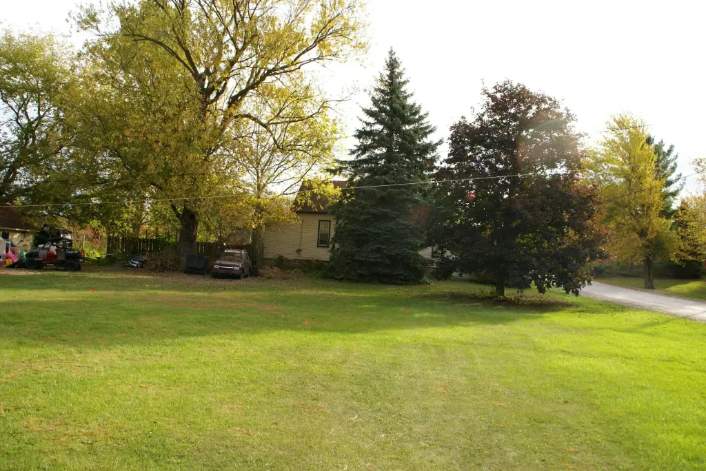 Picture 24