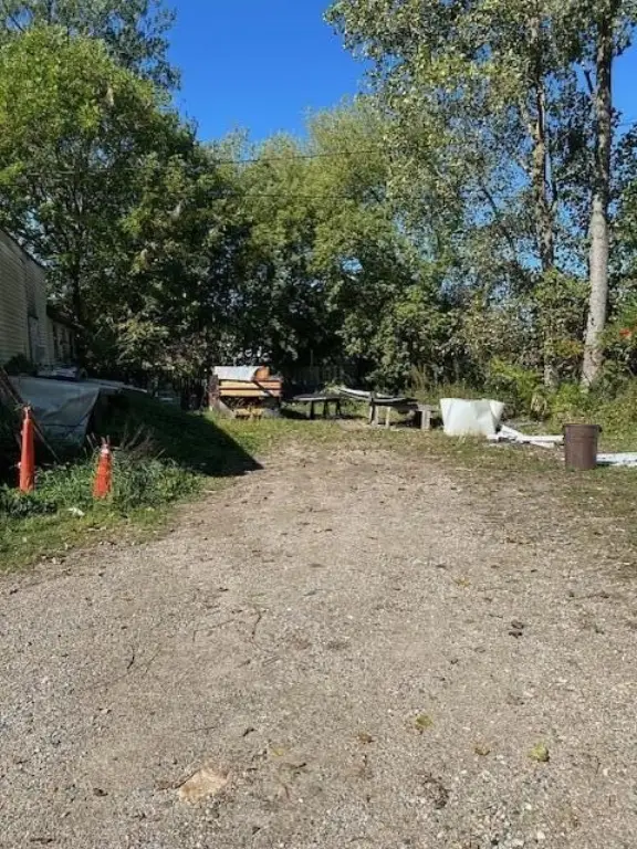Picture 5