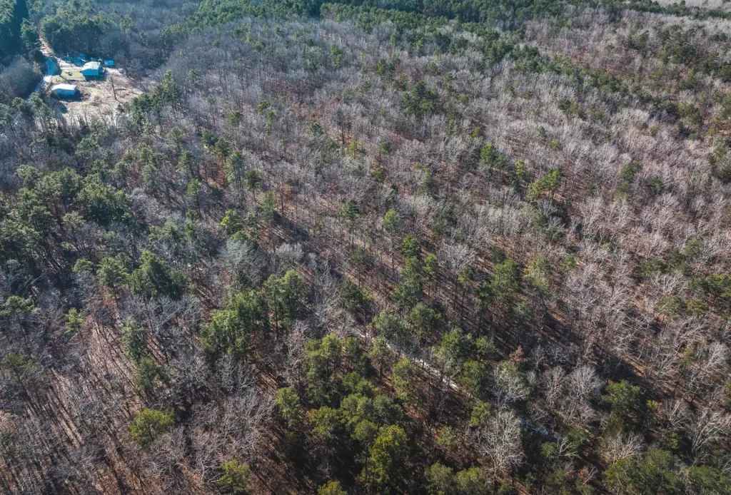 Picture 7