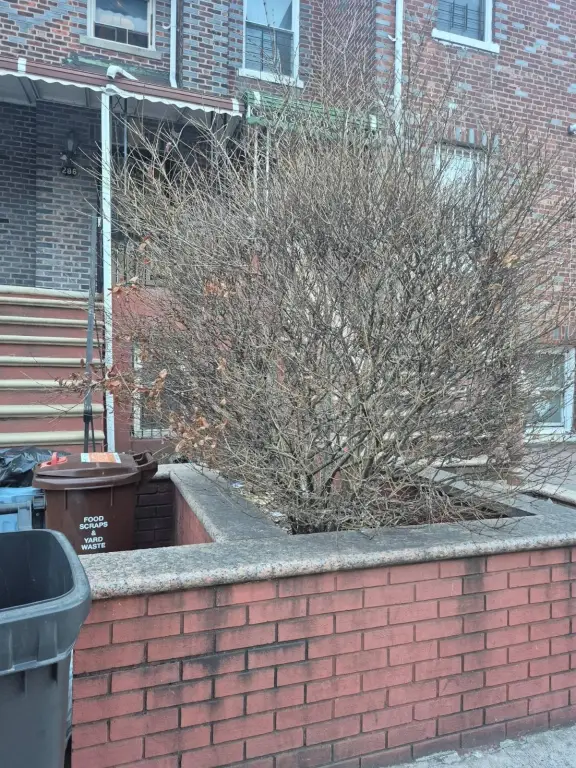 Picture 9