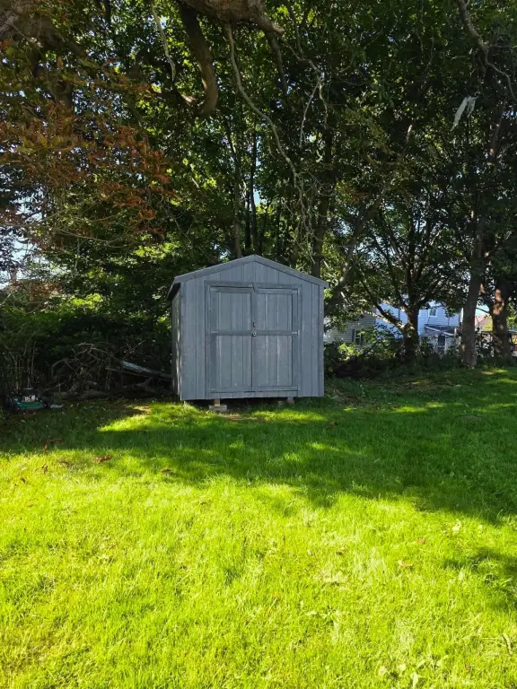 Picture 4