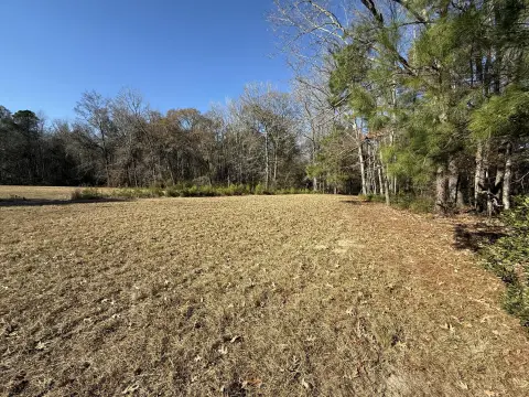 Residential Land Near Captain's Creek