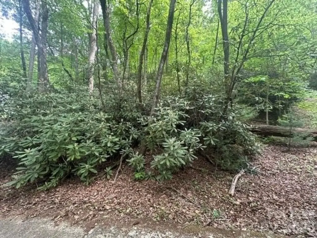 Picture 4