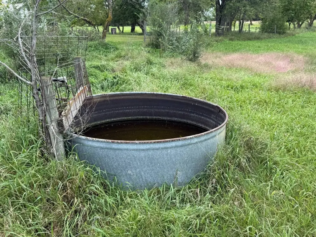 Picture 13