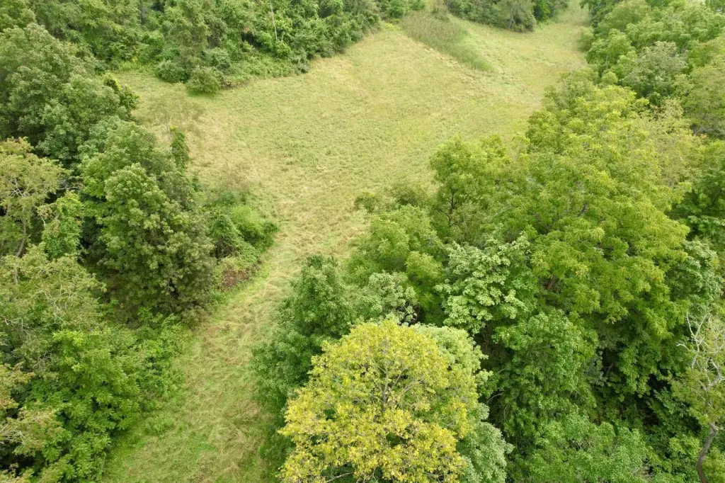 Picture 21