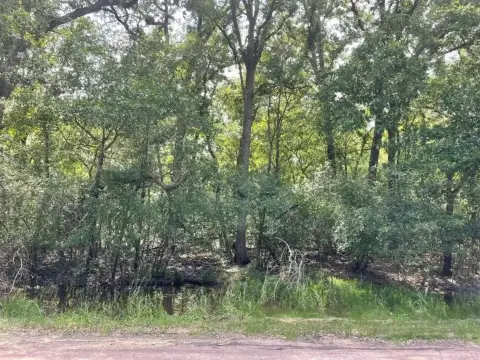 Lake Limestone Wooded Lots