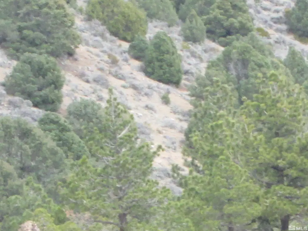 Picture 14