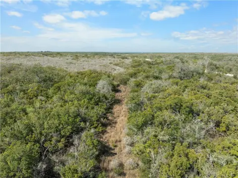 Secluded Hunting Land Near George West