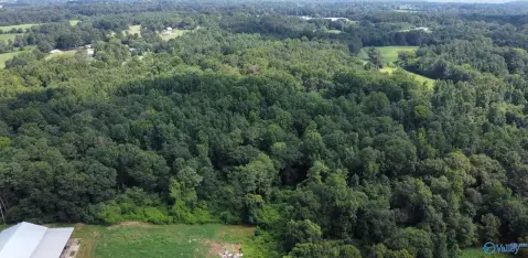 Union Grove Acreage Opportunity