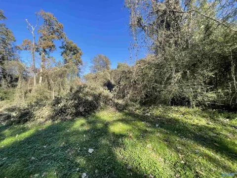 Residential Land in River Bluff