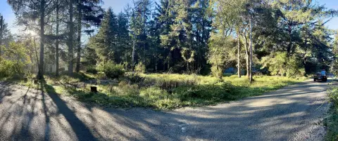 Wooded Lot Near Pebble Beach