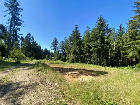 Two-Acre Redwood Residential Parcel