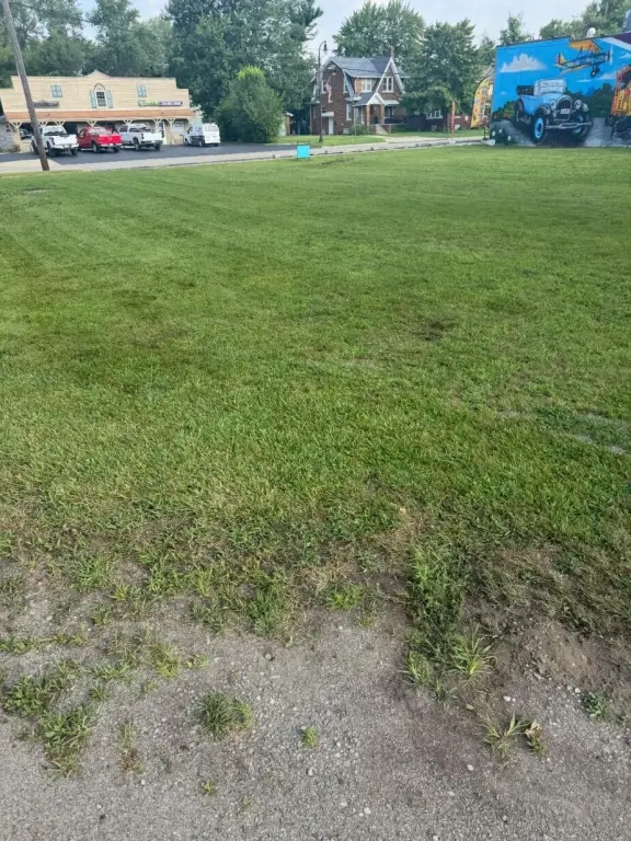 Picture 3