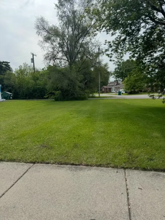 Picture 2