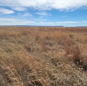 160 Acres Vacant Land Wyoming