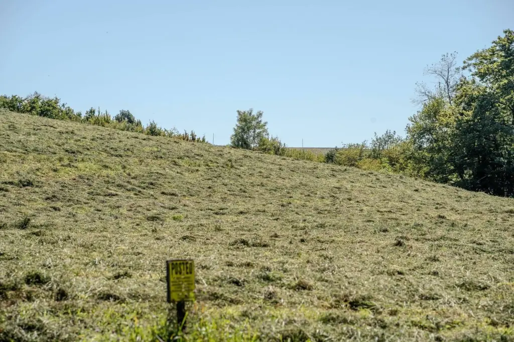 Picture 42