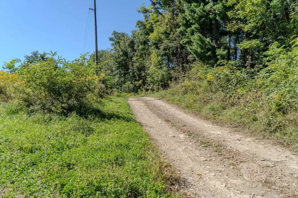Picture 20