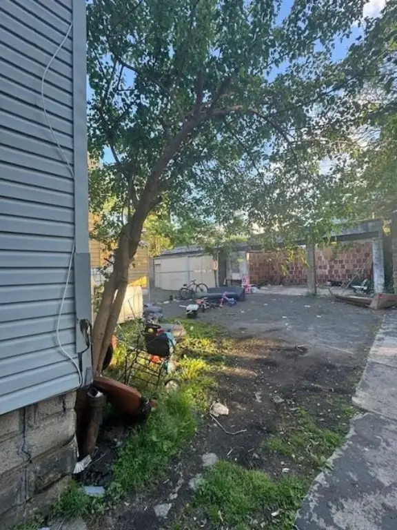 Picture 17