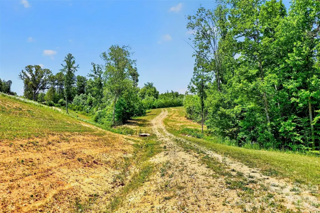 Picture 5