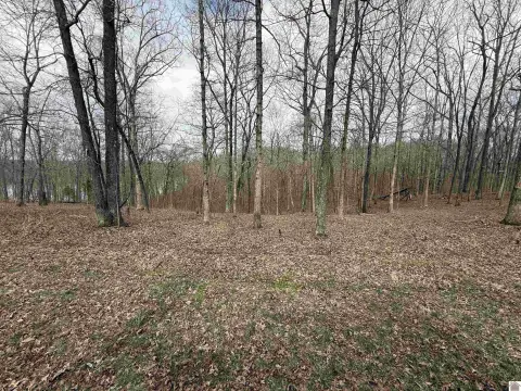 Residential Lot in Western Shores