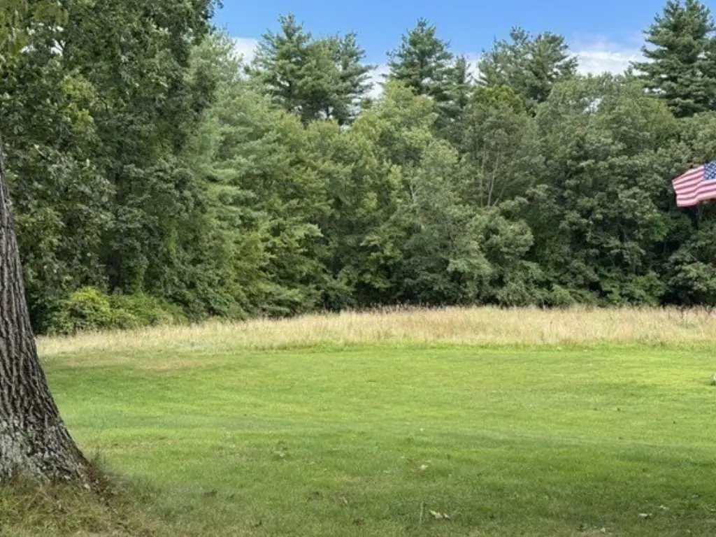 Picture 6