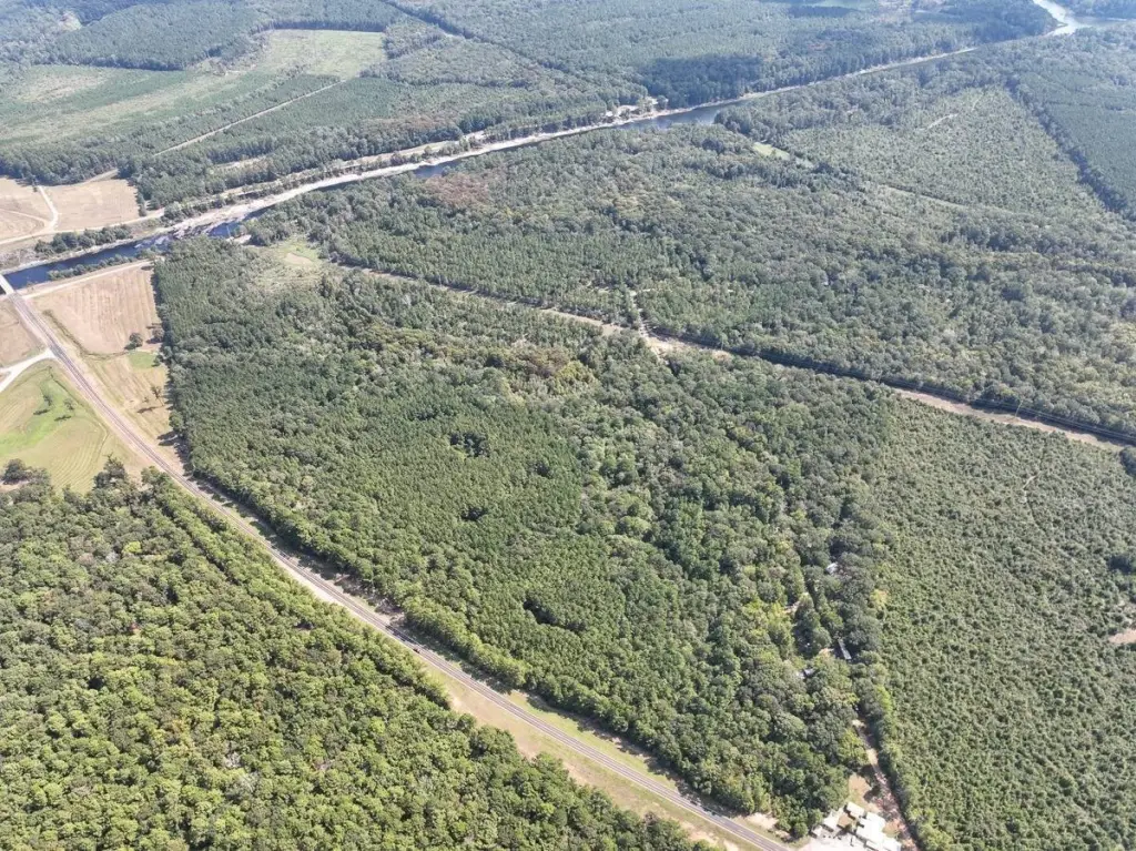 Picture 21