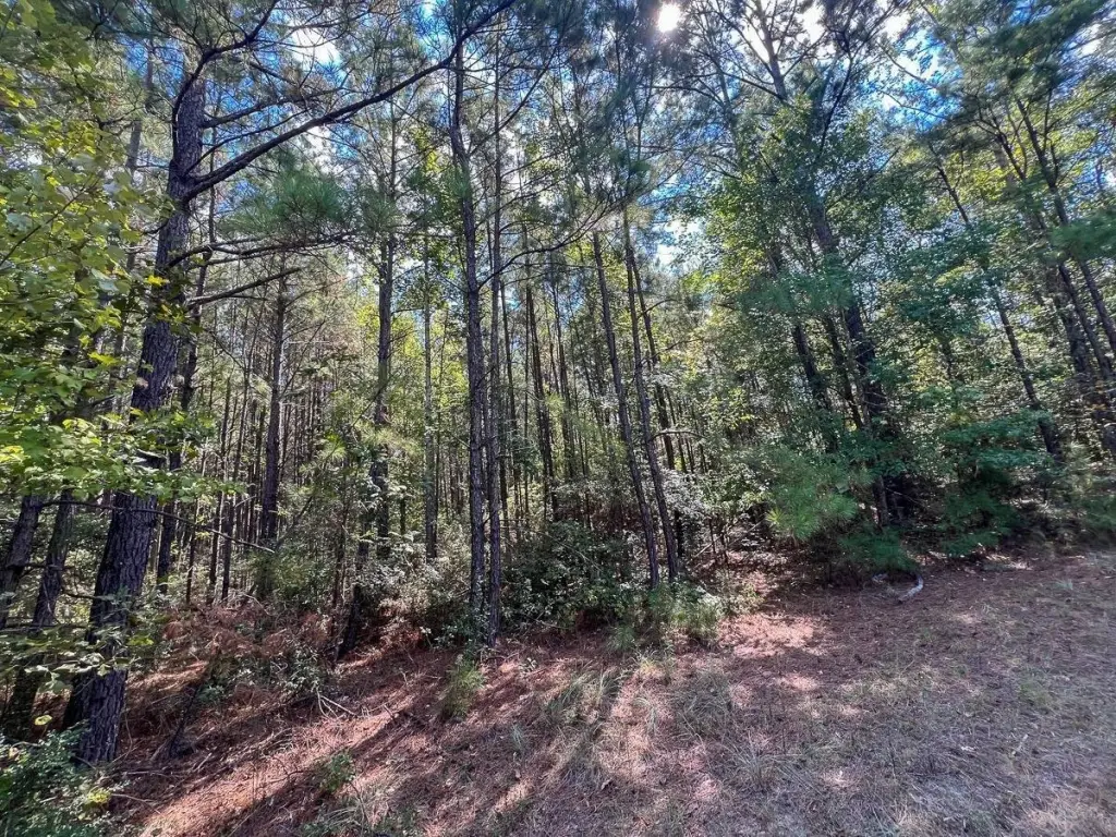 Picture 6
