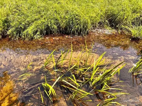 7.5-Acre Land Parcel in NatureWalk