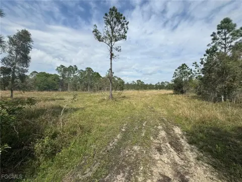 10 Acres Partially Wooded Land