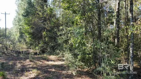 Commercial Land Near I-65
