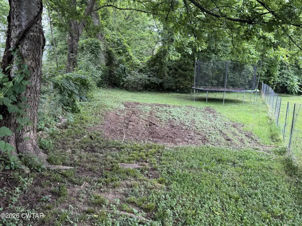 Picture 6