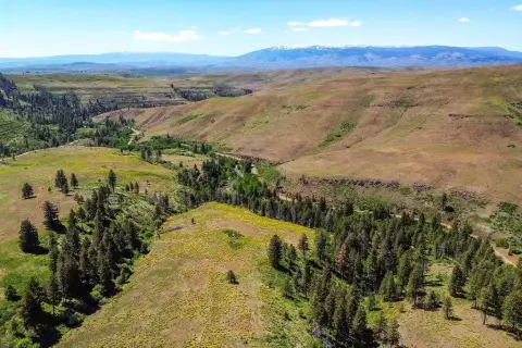 Undeveloped Mountain Property in Idaho