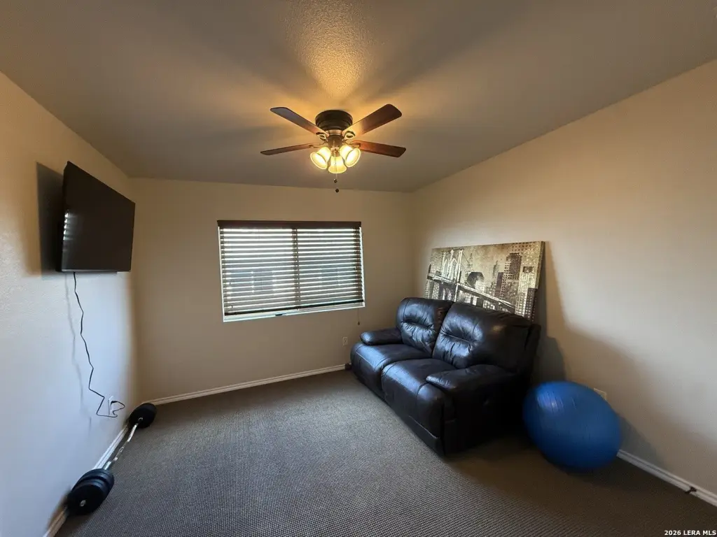Picture 5