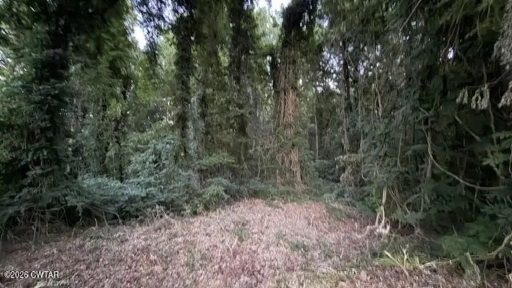 Picture 7