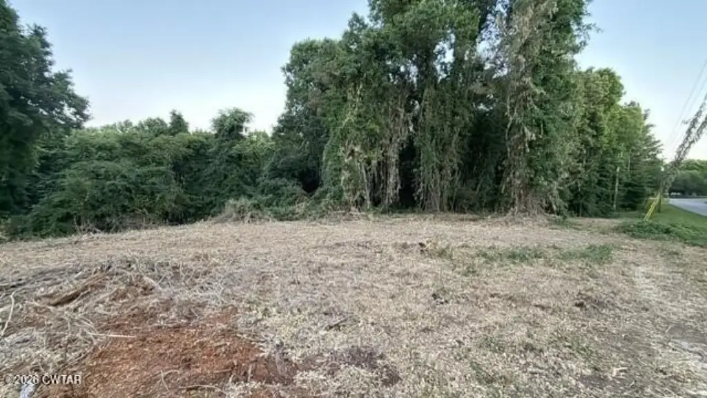 Picture 3
