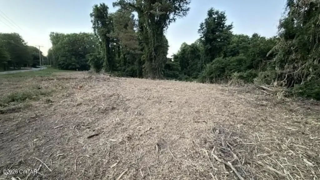Picture 16
