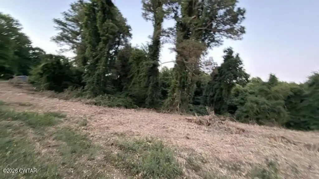 Picture 13
