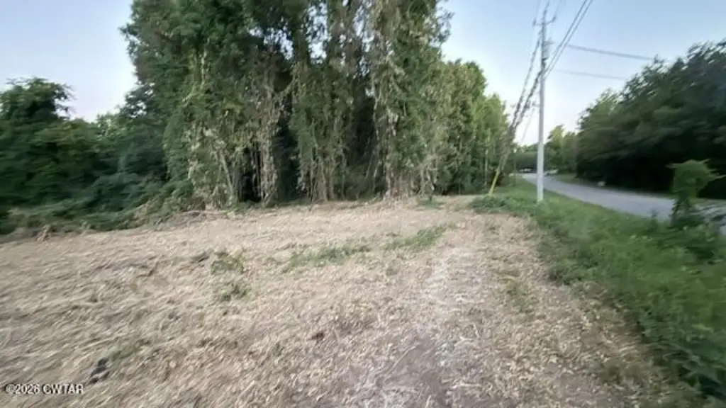 Picture 14