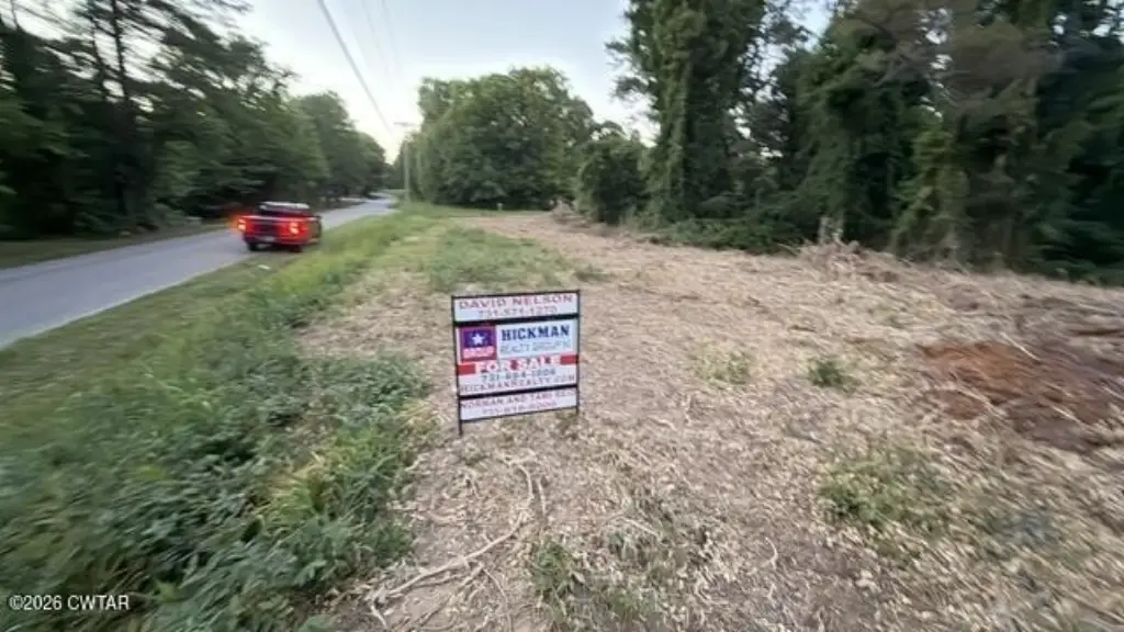 Picture 15