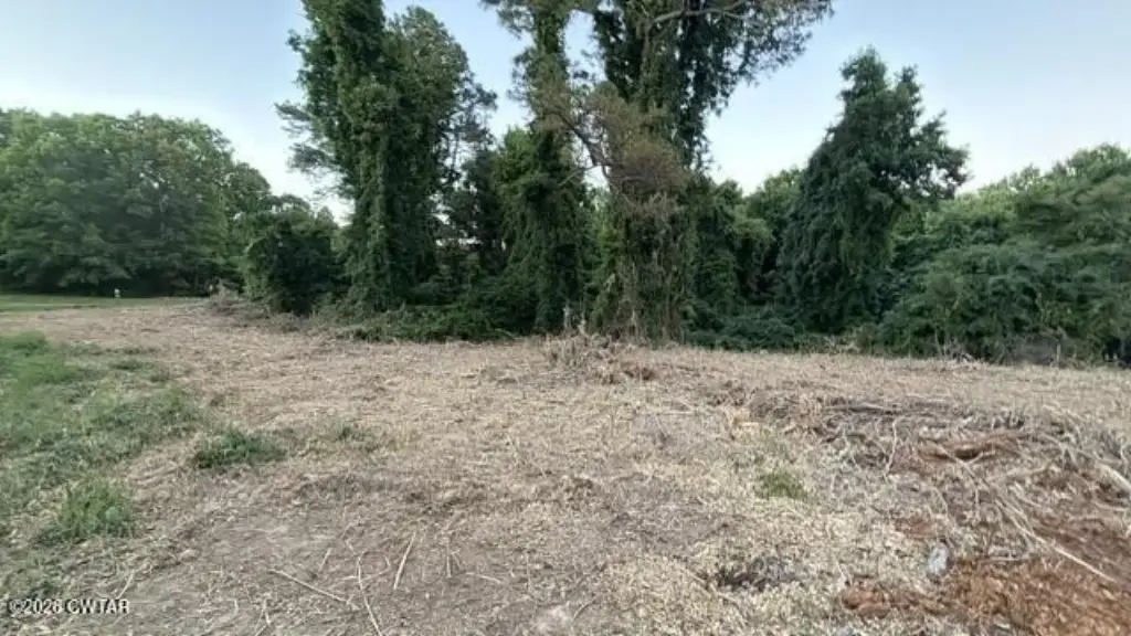 Picture 4