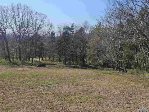 Huntsville Acreage with Mountain Views
