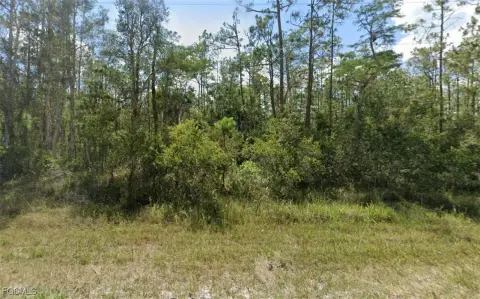Land in Lehigh Acres, FL