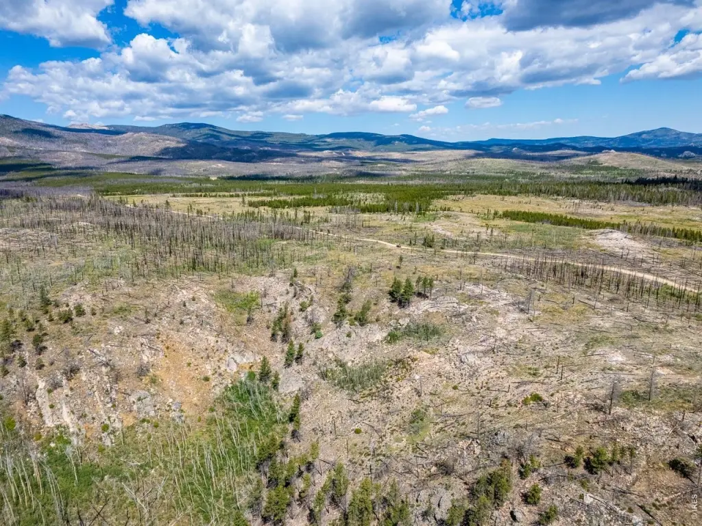 Picture 25