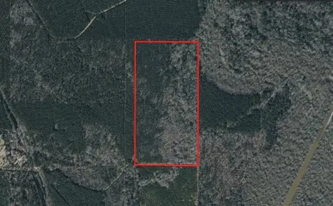 Timberland Tract Bordering Little River