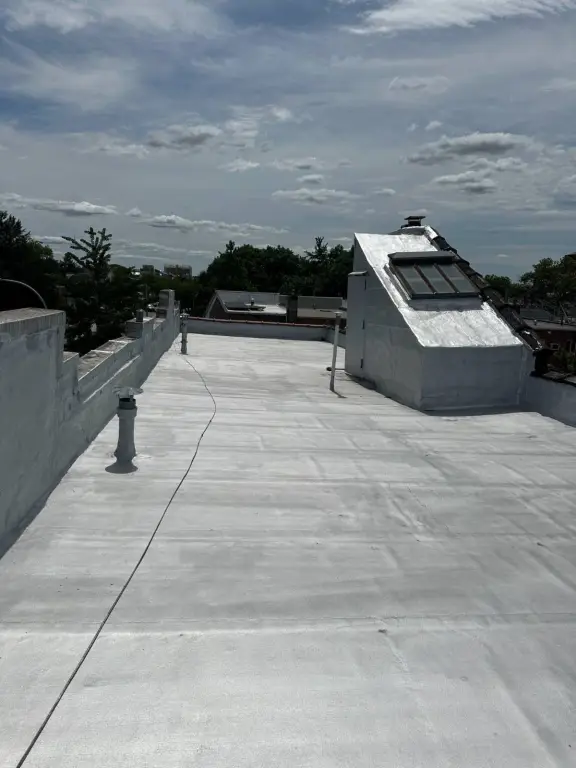 Picture 5